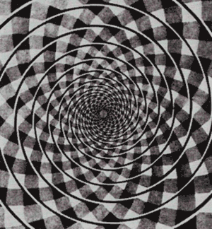 June 2013 040.gif