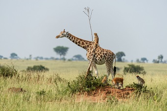 June 2019 006.jpg