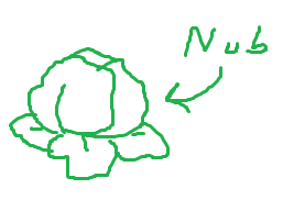May 2019 012.png