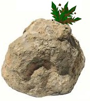 May 2017 015.jpg