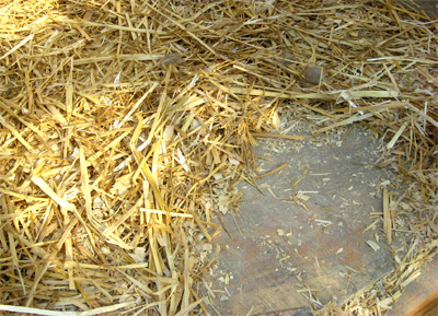 October 2013 033.jpg