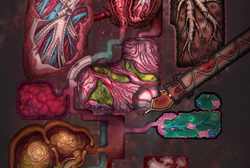 Dragon Body.png