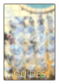 GuidesButton.png