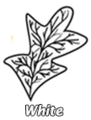 Thumbnail for version as of 09:03, 24 February 2018