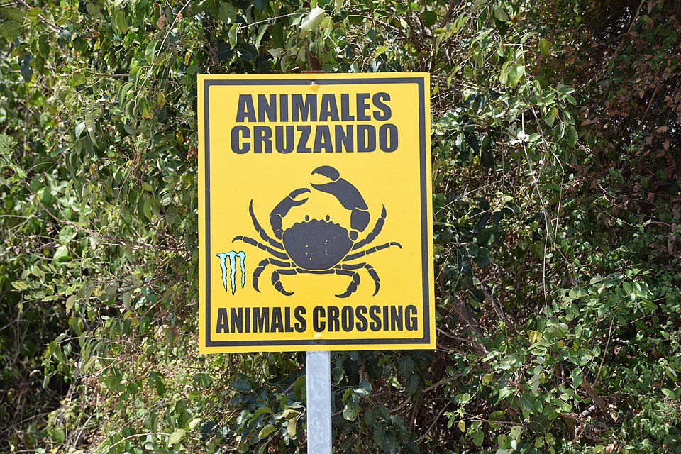 File:Crossing animals.jpg
