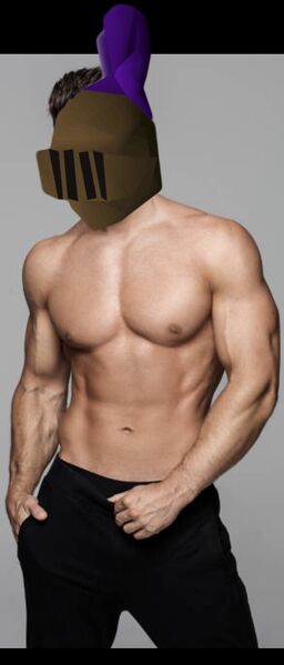 File:Stupid sexy chadto.jpg