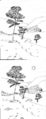 Thumbnail for version as of 08:15, 24 February 2018