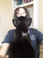 Thumbnail for version as of 19:18, 31 August 2020