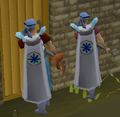 Quest Cape 005.png