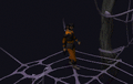 Thumbnail for version as of 02:16, 24 February 2018