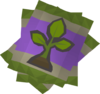 Questaholic December 2022 016.png