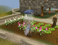 April 2012 004.png
