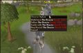 Clan Conga Line 013.jpg