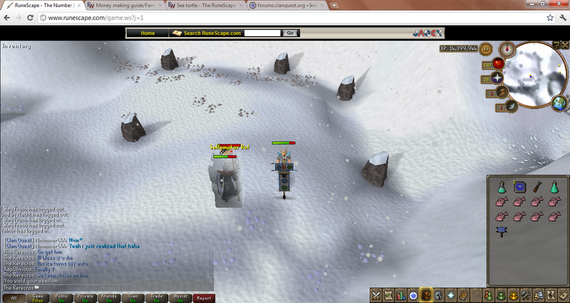 File:RuneScape Vex 017.png